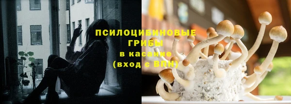 стаф Бородино