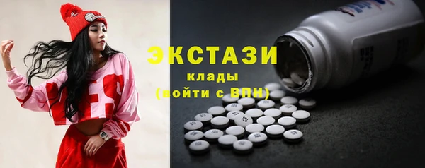 стаф Бородино