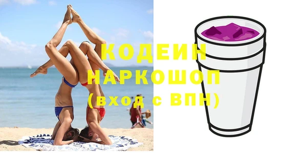 стаф Бородино