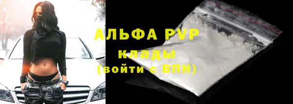 стаф Бородино