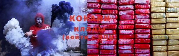 стаф Бородино
