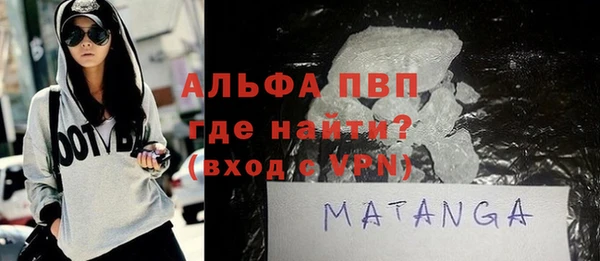стаф Бородино